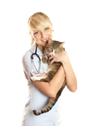 Caregiver holding a cat