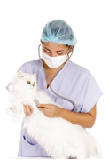 Veterinarian in surgical cap holding a cat