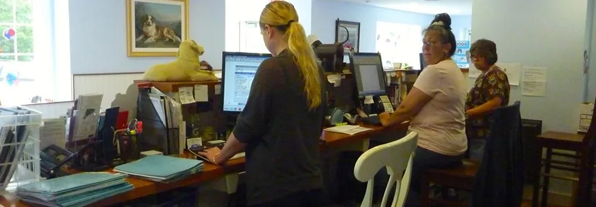 Front desk staff at Cape Cod Animal Hospital