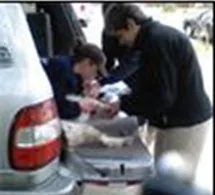 Treating a pet from the back of an SUV after the fire